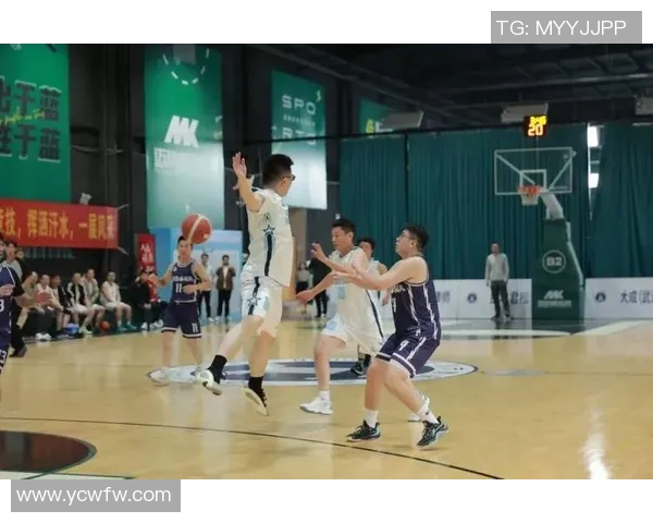 南京篮球队篮球意识排名创新高引发热议展现团队协作与战术智慧